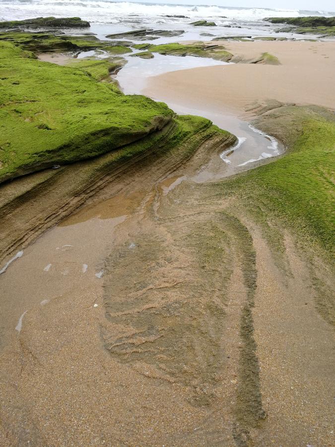 فندق Wilderness Ocean المظهر الخارجي الصورة